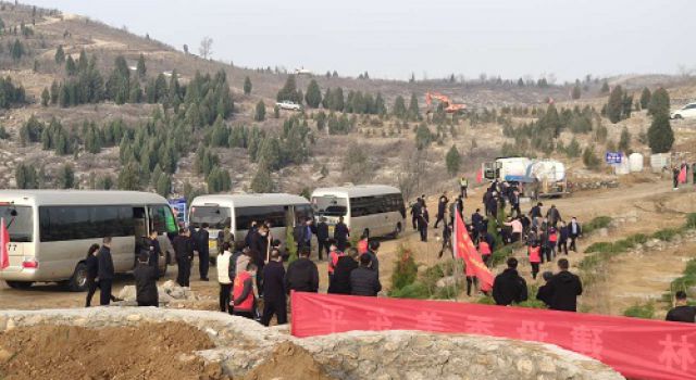 撒下一點綠色，播種一片綠意