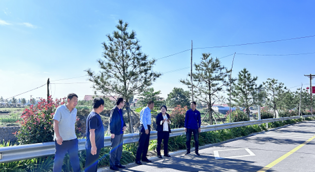 莒縣龍山鎮(zhèn)鄉(xiāng)村振興示范片區(qū)打造建設(shè)項目竣工驗收