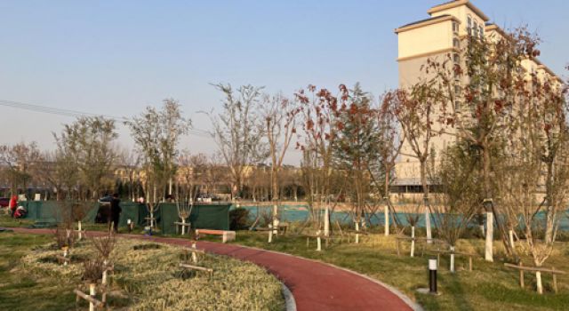 津五路局部道路設施改造項目交通調查啟動，助力交通影響評價