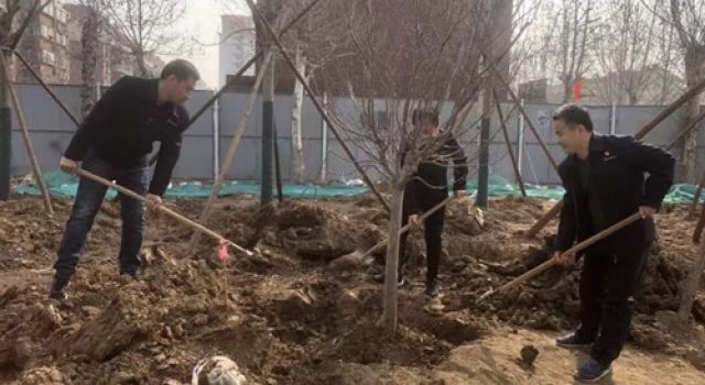 淄博快速路項(xiàng)目開展“踐行綠色發(fā)展理念，構(gòu)建美麗中國”迎植樹節(jié)活動(dòng)