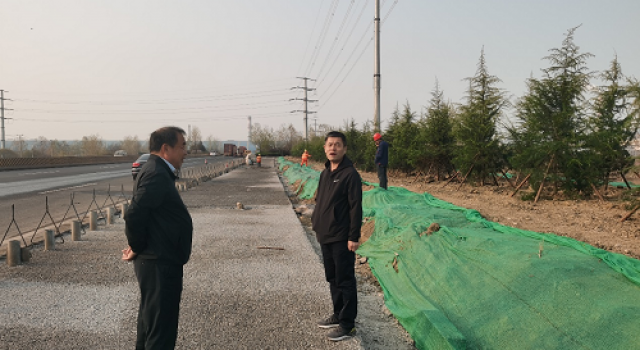日照市南沿海公路高架項(xiàng)目綠化工程開始大干